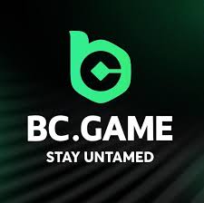 Experience the Thrill of BC.Game Online Casino -167063671
