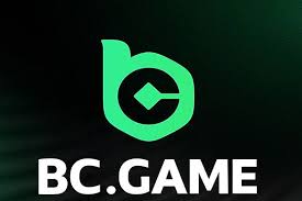 Understanding BC Game's KYC Verification Process -2111386309 Understanding BC Game's KYC Verification Process -2111386309