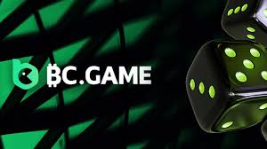Unlocking the World of Gaming The BC.Game Application
