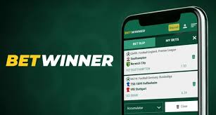 BetWinner Bonus Guide Unlocking the Best Promotions