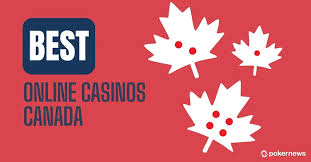 Top Live Casinos Experience the Thrill of Real-Time Gaming -367161808