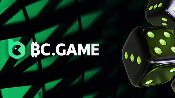 Exploring BC.Game The Premier Crypto Casino in Pakistan